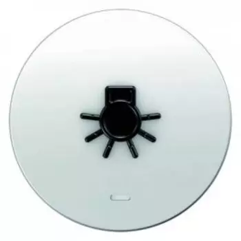 16512049 Клавиша с прозрачной линзой и выступающим символом "Свет", полярная белизна, с блеском R.1/R.3 Berker