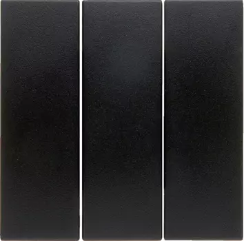 16656086 Клавиши для трехклавишного выключателя цвет: антрацит, с эффектом бархата, Q.1 Berker