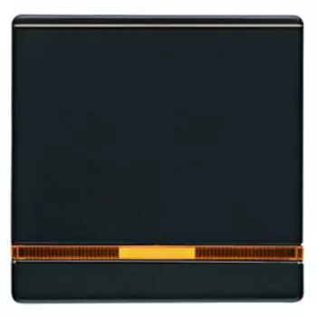 16966086 Клавиша выключателя с линзой Berker