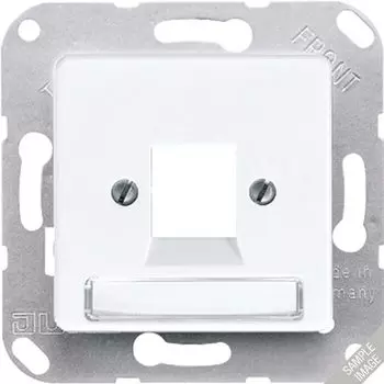 169-15NWE Крышка для VGWE гнезда, поле для надписи, бежевый Jung