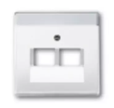 1710-0-1551 (1803-02-84-500), Плата центральная (накладка) для 2-постовой телекоммуникационной розетки 0214, 0215, 0217, 0218, с полем для надписи, цвет davos/альпийский белый, ABB