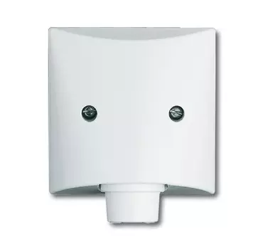 1710-0-1845 (2133-34), Плата центральная с суппортом, с выводом для кабеля (до 5 х 2.5 мм), с компенсатором натяжения, IP44, серия Allwetter 44, цвет альпийский белый, ABB