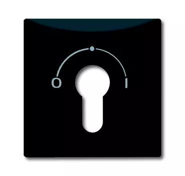 1710-0-1902 (2155 SLPZ-35), Плата центральная (накладка) с поворотной ручкой, с маркировкой для механизма выключателя с зам. 2733 USL-101, IP44, серия Allwetter 44, цвет антрацит, ABB