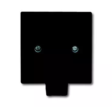 1710-0-1910 (2133-35), Плата центральная с суппортом, с выводом для кабеля (до 5 х 2.5 мм), с компенсатором натяжения, IP44, серия Allwetter 44, цвет чёрны, ABB