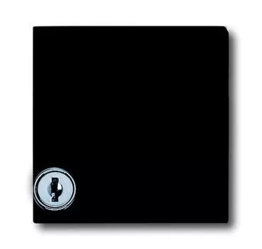 1710-0-1977 (2118 GKSL-35), Плата промежуточная с крышкой для центральных плат серий Busch-Duro 2000 SI и Reflex SI, с индивидуальным зам., IP44, серия Allwette 44, цвет антрацит, ABB