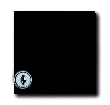 1710-0-1985 (2118 GKSLN-35), Плата промежуточная с крышкой для центральных плат серий Busch-Duro 2000 SI и Reflex SI, с индивидуальным зам., с полем для надписи, IP44, серия Allwetter 44, цвет антрацит, ABB