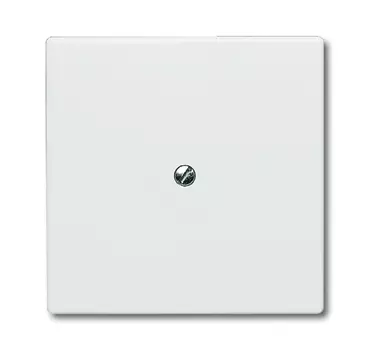 1710-0-2264 (2138-32), Заглушка с суппортом (IP44), серия Allwetter 44, цвет слоновая кость, ABB