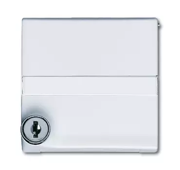 1710-0-2306 (2118 GKSLN-32), Плата промежуточная с крышкой для центральных плат серий Busch-Duro 2000 SI и Reflex SI, с индивидуальным зам., с полем для надписи, IP44, серия Allwetter 44, цвет слоновая кость, ABB