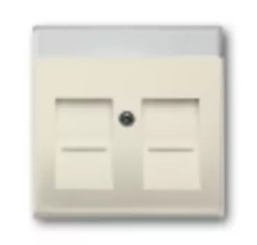 1710-0-3158 (1800-82), Плата центральная (накладка) для коммуникационных розеток с суппортами 1810, 1812, 1814, 1816 и 1818, с полем для надписи, 1816, 1818, цвет savanne/слоновая кость, ABB