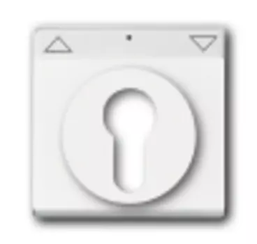 1710-0-3175 (1755 SL/PZ-84-101), Плата центральная (накладка) для механизма выключателя жалюзи с зам. 2712/2713 USL-101, 2722/2723 USL-101 и 2733 USL-101, с полем дл надписи, цвет davos/альпийский белый, ABB