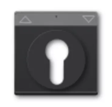 1710-0-3626 (1755 SL/PZ-81-101), Плата центральная (накладка) для механизма выключателя жалюзи с зам. 2712/2713 USL-101, 2722/2723 USL-101 и 2733 USL-101, с полем дл надписи, цвет антрацит, ABB