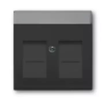 1710-0-3627 (1800-81), Плата центральная (накладка) для коммуникационных розеток с суппортами 1810, 1812, 1814, 1816 и 1818, с полем для надписи, 1816, 1818, цвет антрацит, ABB