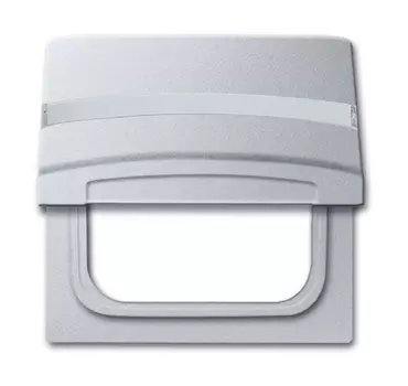 1710-0-3787 (2118 GKN-33), Плата промежуточная с крышкой для центральных плат серий Busch-Duro 2000 SI и Reflex SI, с полем для надписи, IP44, серия Allwetter 44, цвет серебристо-алюминиевый, ABB