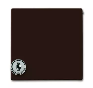 1710-0-3788 (2118 GKSL-31), Плата промежуточная с крышкой для центральных плат серий Busch-Duro 2000 SI и Reflex SI, с индивидуальным зам., IP44, серия Allwette 44, цвет коричневый, ABB