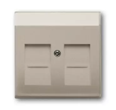 1710-0-3941 (1800-93-507), Плата центральная (накладка) для коммуникационных розеток с суппортами 1810, 1812, 1814, 1816, 1818, 1819 и 1820 с полем для надписи серия Basic 55, цвет шампань, ABB