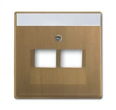 1710-0-4083 (1803-02-840-500), Плата центральная (накладка) для 2-постовой телекоммуникационной розетки 0214, 0215, 0217, 0218, с полем для надписи, серия Династия Латунь античная, ABB