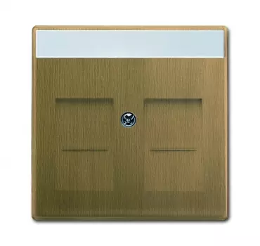 1710-0-4085 (1800-840-500), Плата центральная (накладка) для коммуникационных розеток с суппортами 1810, 1812, 1814, 1816 и 1818, с полем для надписи, 1816, 1818, серия Династия, Латунь античная, ABB