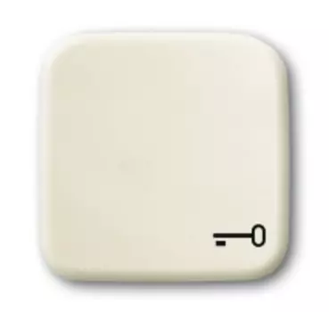 1731-0-0298 (2520 TR-212), Клавиша для механизма 1-клавишного выключателя/переключателя/кнопки с символом "КЛЮЧ", серия Busch-Duro 2000 SI, цвет слоновая кость, ABB