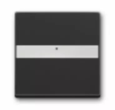 1731-0-1552 (1764 NLI-81), Клавиша с полем для надписи, со световодом, для выключателей/переключателей/кнопок, цвет антрацит, ABB