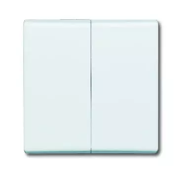 1731-0-1601 (2105-34), Клавиша для механизма 2-клавишного выключателя/переключателя/кнопки (IP44), серия Allwetter 44, цвет альпийский белый, ABB