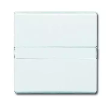 1731-0-1643 (2106 N-34), Клавиша для механизма 1-клавишного выключателя/переключателя/кнопки, с полем для надписи (IP44), серия Allwetter 44, цвет альпийский белый, ABB