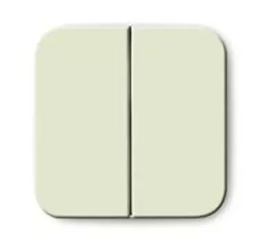 1731-0-1890 (2505-212-507), Клавиша для механизма 2-клавишного выключателя/переключателя/кнопки, серия Busch-Duro 2000 SI, цвет слоновая кость, ABB