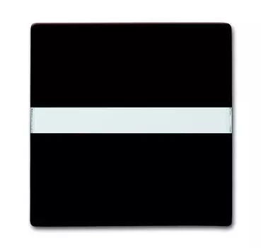 1731-0-1960 (2106 N-31), Клавиша для механизма 1-клавишного выключателя/переключателя/кнопки, с полем для надписи (IP44), серия Allwetter 44, цвет коричневый, ABB