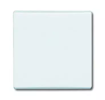 1731-0-1997 (2106-32-500), Клавиша для механизма 1-клавишного выключателя/переключателя/кнопки (IP44), серия Allwetter 44, цвет слоновая кость, ABB