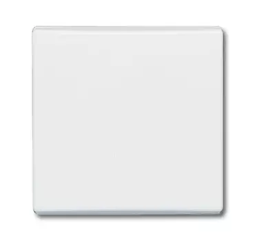1731-0-3991 (2106-34-500), Клавиша для механизма 1-клавишного выключателя/переключателя/кнопки (IP44), серия Allwetter 44, цвет альпийский белый, ABB