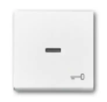 1751-0-2755 (1789 TR-84), Клавиша для механизма 1-клавишного выключателя/переключателя/кнопки, с прозрачной линзой и символом "КЛЮЧ", цвет davos/альпийский белый, ABB