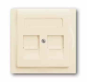 1753-0-0081 (1800-72), Плата центральная (накладка) для коммуникационных розеток с суппортами 1810, 1812, 1814, 1816 и 1818, с полем для надписи, серия impuls, цвет слоновая кость, ABB