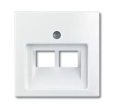 1753-0-0097 (1803-02-92-507), Плата центральная (накладка) для 2-постовой телекоммуникационной розетки 0214, 0215, 0217, 0218, с полем для надписи, серия Basic 55 , слоновая кость, ABB