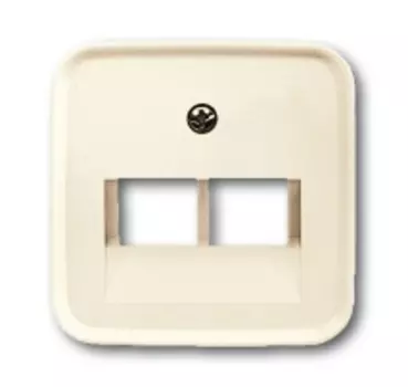 1753-0-8956 (1803-02-212), Плата центральная (накладка) для 2-постовой телекоммуникационной розетки 0214, 0215, 0217, 0218, с полем для надписи, серия Busch-Duro 2000 SI, цвет слоновая кость, ABB