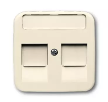 1753-0-9975 (1800-212-500), Плата центральная (накладка) для коммуникационных розеток с суппортами 1810, 1812, 1814, 1816 и 1818, с полем для надписи, серия Busch-Duro 2000 SI, цвет слоновая кость, ABB