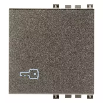 19022.P.M Взаимозаменяемая клавиша на 2 модуля (с подсветкой°) Символ ключа Metall Vimar Arke