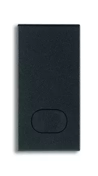 19031 Клавиша на 1 модуль персонализируемая, серая Vimar Arke