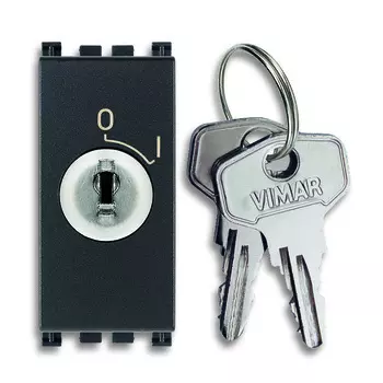 19083.CU Выключатель 2p 16ax с ключом унифиц, серый Vimar Arke