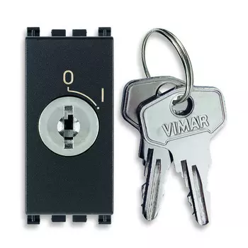 19086.CU Кнопка 2p no 16a с ключом унифиц, серая Vimar Arke