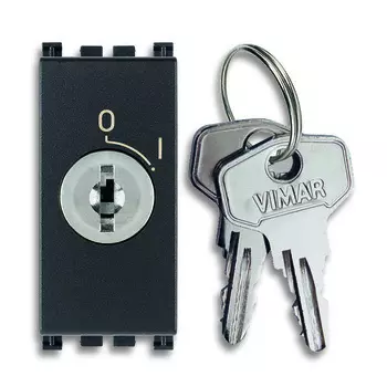 19086 Кнопка 2p no 16a с ключом, серая Vimar Arke
