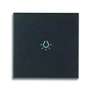 19132.L Клавиша для коаксиальных устройств на 2 модуля символом "лампа", серая Vimar Arke