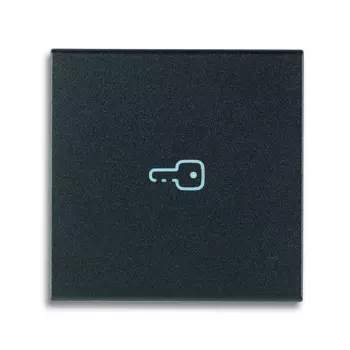 19132.P Клавиша для коаксиальных устройств на 2 модуля символом "ключ", серая Vimar Arke