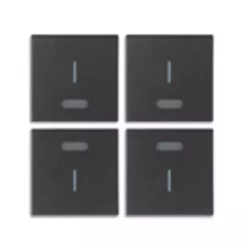 19841.1 4 половинки одномодульной клавиши с символом "i", серые Vimar Arke