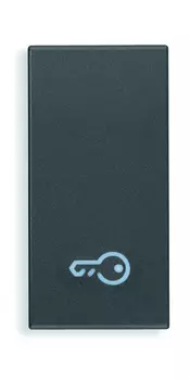 20021.P Клавиша на 1 модуль символом "ключ" Vimar Eikon