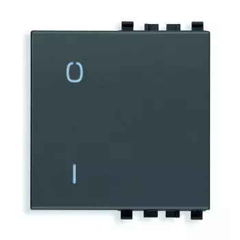 20022.99 Клавиша на 2 модуля символом "o i" Vimar Eikon