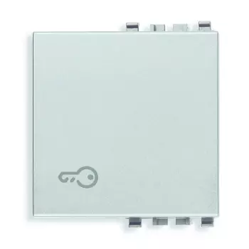 20022.P.N Клавиша на 2 модуля символом "ключ", серебро матовое Vimar Eikon