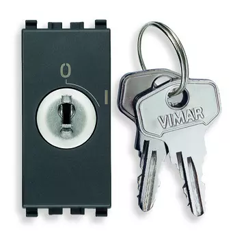 20086 Кнопка 2p no 16a с ключом Vimar Eikon
