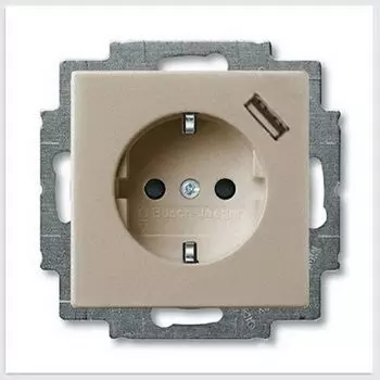 2011-0-6193 (20 EUCBUSB-94-507), Розетка Schuko с устройством зарядным USB, 20 EUCBUSB-94-500, Basic55 альпийский белый 16А, 700 мА, электронная защита от перегрузки и КЗ, безвинтовые клеммы, защитные шторки,, ABB
