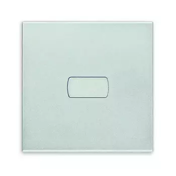 20132.0.N Клавиша для коаксиальных устройств на 2 модуля персонализируемая, серебро матовое Vimar Eikon