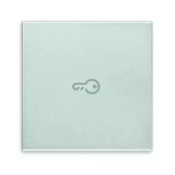 20132.P.N Клавиша для коаксиальных устройств на 2 модуля символом "ключ", серебро матовое Vimar Eikon