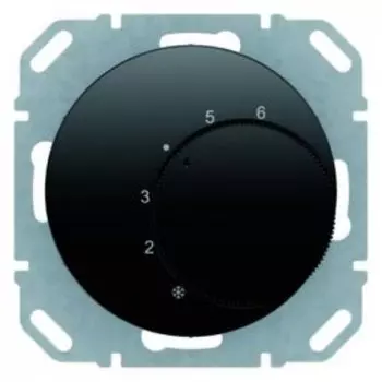 20262045 Регулятор температуры помещения, R.1 Berker